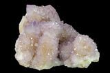 Cactus Quartz (Amethyst) Crystal Cluster - South Africa #137820-2